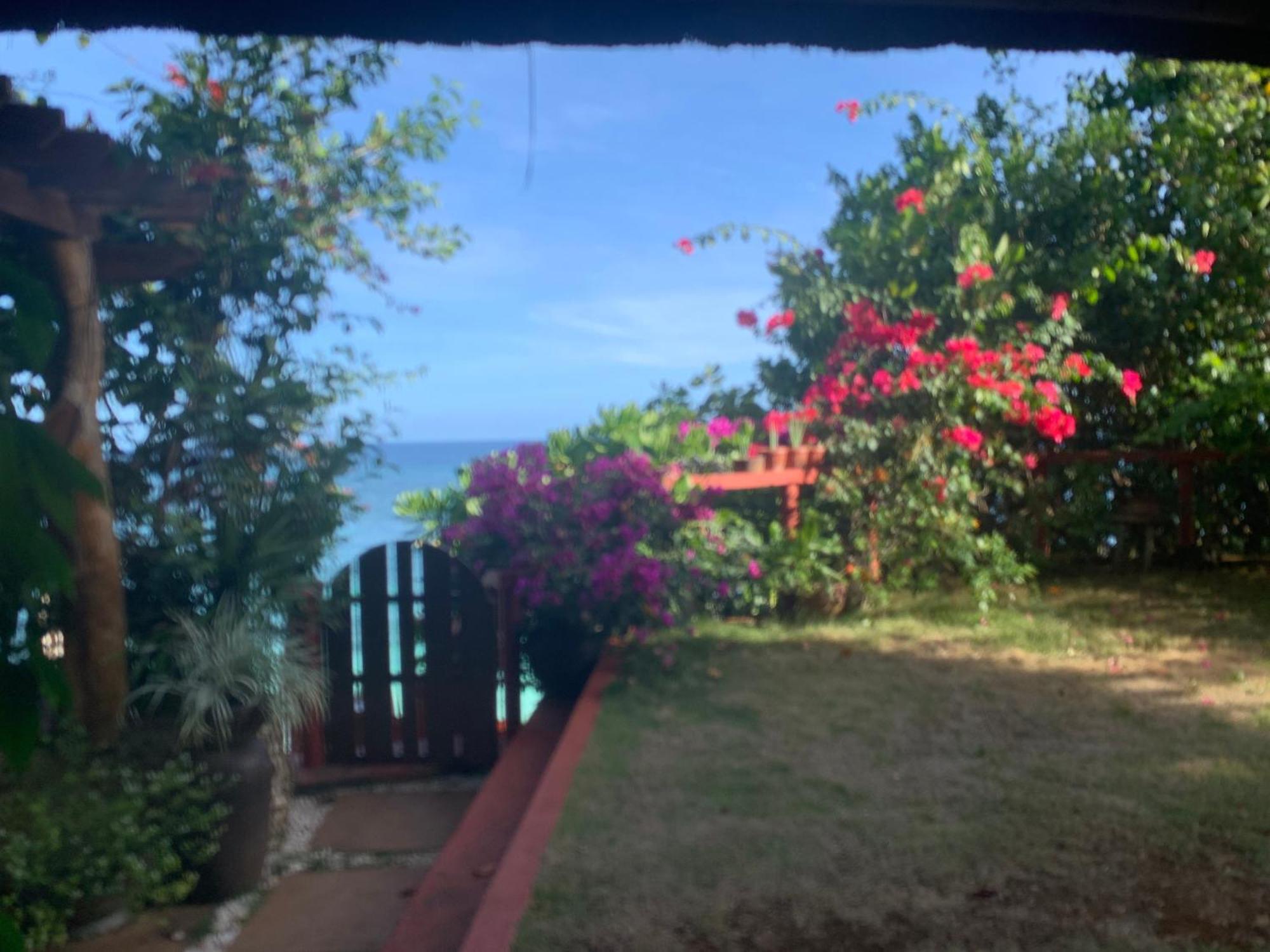 Blue Raven Resort Anda  Bagian luar foto