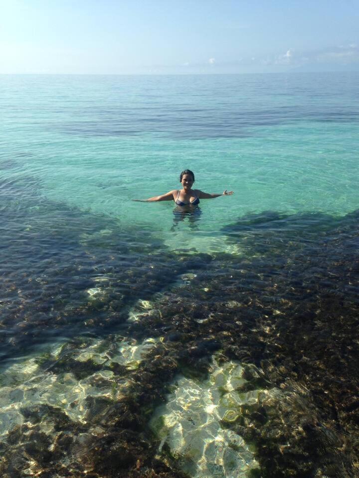 Blue Raven Resort Anda  Bagian luar foto