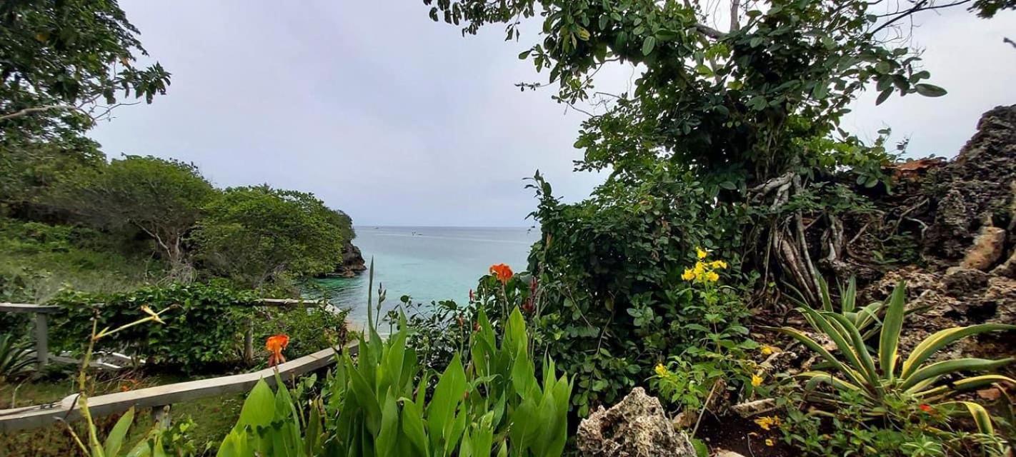 Blue Raven Resort Anda  Bagian luar foto