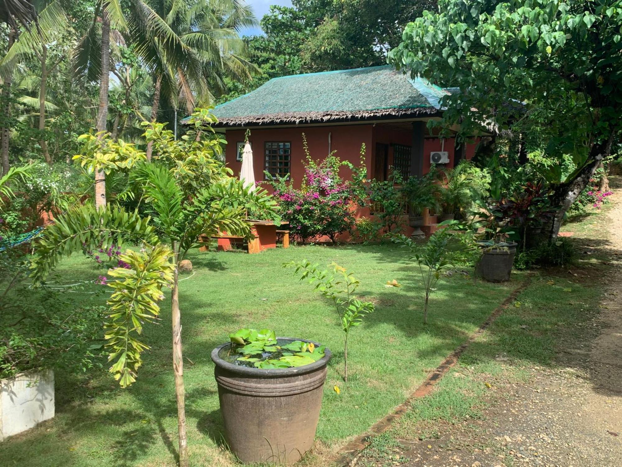Blue Raven Resort Anda  Bagian luar foto